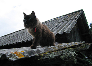 click for enlarge 700 X 506 268.6 Kb picture