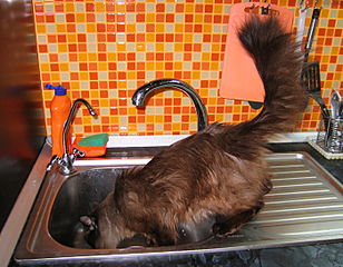 click for enlarge 700 X 545 424.6 Kb picture