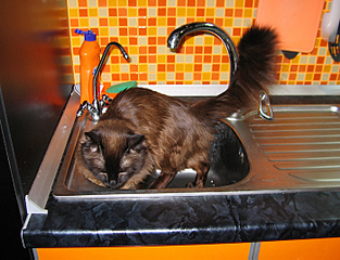 click for enlarge 700 X 535 364.3 Kb picture