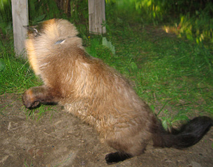 click for enlarge 700 X 550 155.8 Kb picture