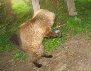 click for enlarge 700 X 550 188.7 Kb picture