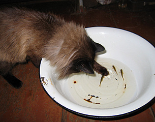 click for enlarge 700 X 550 131.6 Kb picture