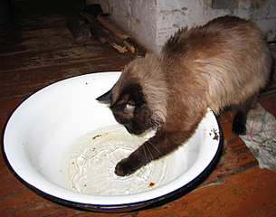 click for enlarge 700 X 550 157.2 Kb picture