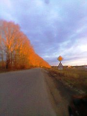 click for enlarge 480 X 640 37.8 Kb picture