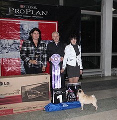 click for enlarge 686 X 700 150.1 Kb picture