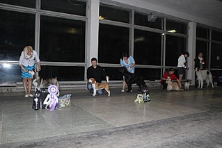 click for enlarge 700 X 467 92.5 Kb picture