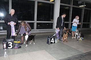 click for enlarge 700 X 467 107.6 Kb picture