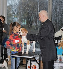 click for enlarge 647 X 700 142.4 Kb picture