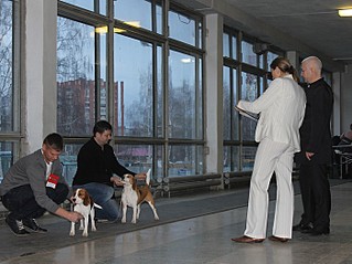 click for enlarge 700 X 523 106.8 Kb picture