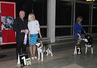 click for enlarge 700 X 490 98.0 Kb picture