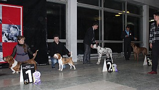 click for enlarge 700 X 397 86.9 Kb picture