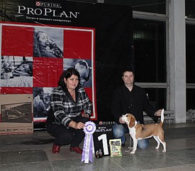 click for enlarge 700 X 609 121.9 Kb picture