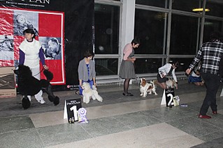 click for enlarge 700 X 467 111.5 Kb picture