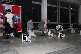 click for enlarge 700 X 467 97.5 Kb picture