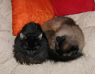 click for enlarge 700 X 550 190.9 Kb picture