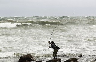 click for enlarge 600 X 391 55.4 Kb picture