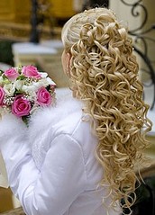 click for enlarge 267 X 371 31.1 Kb picture