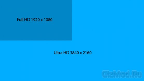 555 x 312