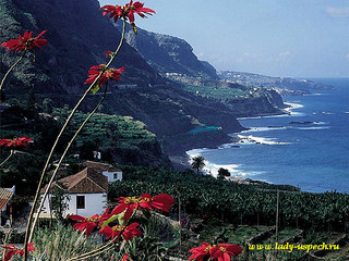 click for enlarge 600 X 450 111.6 Kb picture