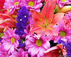 click for enlarge 600 X 480 90.6 Kb picture