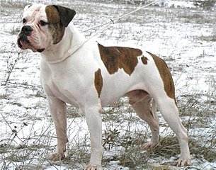 click for enlarge 640 X 503 96.0 Kb picture