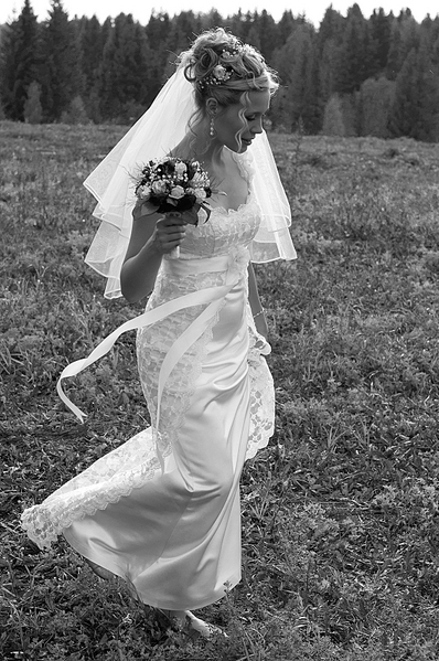 click for enlarge 1129 X 1700 290.8 Kb picture