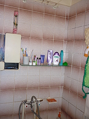 click for enlarge 1920 X 2560 355.9 Kb picture