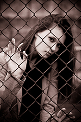 click for enlarge 1825 X 2738 454.6 Kb picture