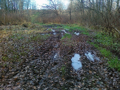 click for enlarge 1126 X 845 745.0 Kb picture