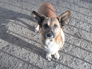 click for enlarge 1920 X 1440 762.4 Kb picture