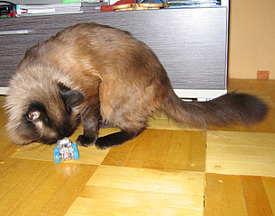 click for enlarge 700 X 550 171.9 Kb picture