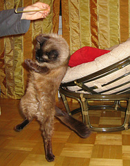 click for enlarge 550 X 700 195.4 Kb picture