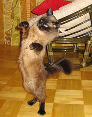 click for enlarge 550 X 700 182.2 Kb picture