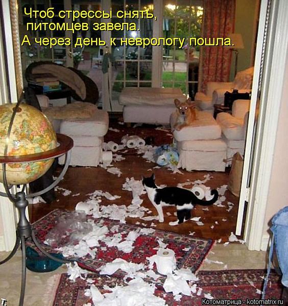 click for enlarge 705 X 750 94.8 Kb picture
