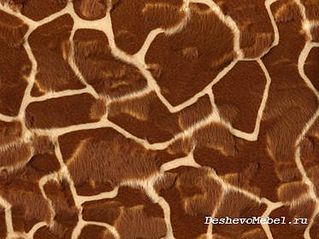 click for enlarge 373 X 280 38.0 Kb picture