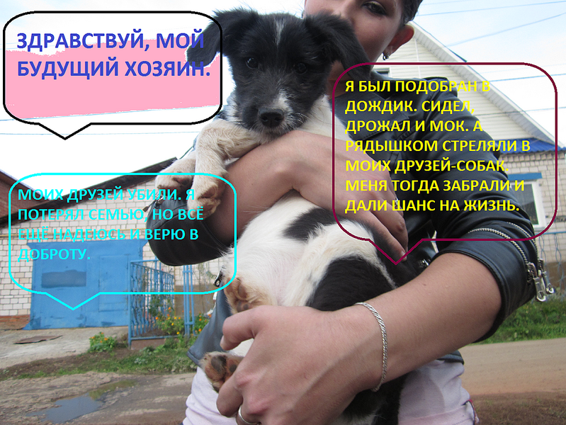 click for enlarge 1196 X 898  1.8 Mb picture