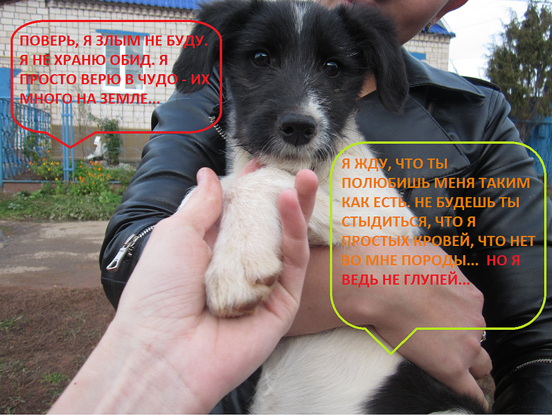 click for enlarge 1198 X 901  2.1 Mb picture