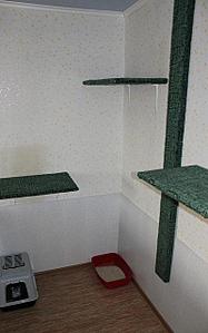 click for enlarge 400 X 640 48.9 Kb picture