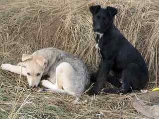 click for enlarge 1920 X 1440 169.6 Kb picture