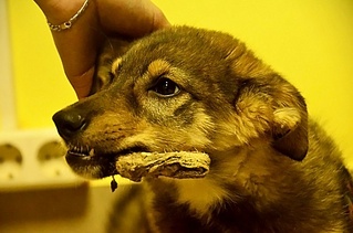 click for enlarge 1000 X 662 150.9 Kb picture