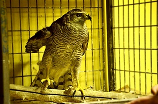 click for enlarge 1000 X 662 188.0 Kb picture