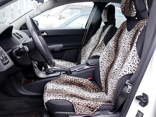 click for enlarge 1024 X 768 141.8 Kb picture