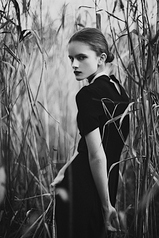 click for enlarge 533 X 800 209.1 Kb picture