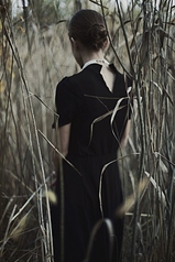 click for enlarge 533 X 800 179.2 Kb picture