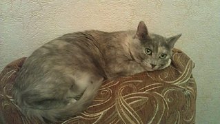 click for enlarge 1024 X 577 106.2 Kb picture