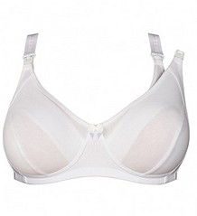 click for enlarge 350 X 384 11.6 Kb picture