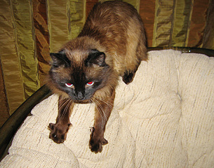 click for enlarge 700 X 550 192.7 Kb picture