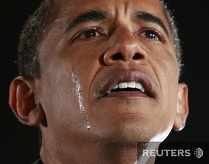 click for enlarge 480 X 378 128.4 Kb picture