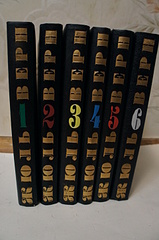 click for enlarge 1920 X 2889 247.4 Kb picture