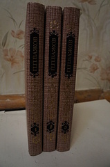 click for enlarge 1920 X 2889 336.8 Kb picture